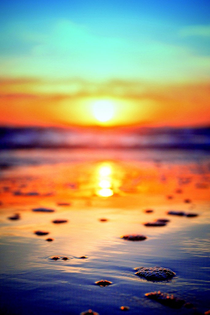 1-cole-keister-xMMh-VFGL9M-unsplash 1-cole-keister-xMMh-VFGL9M-unsplash