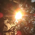 Light on the Subject